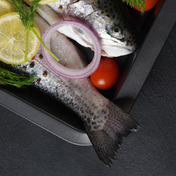 Gastrofisch Gastrofisch